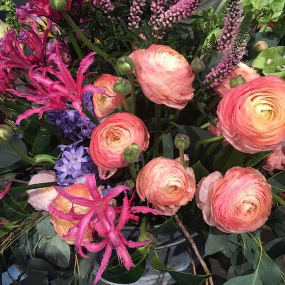 Meet your Posher, Aysha - Picture 1 of 1